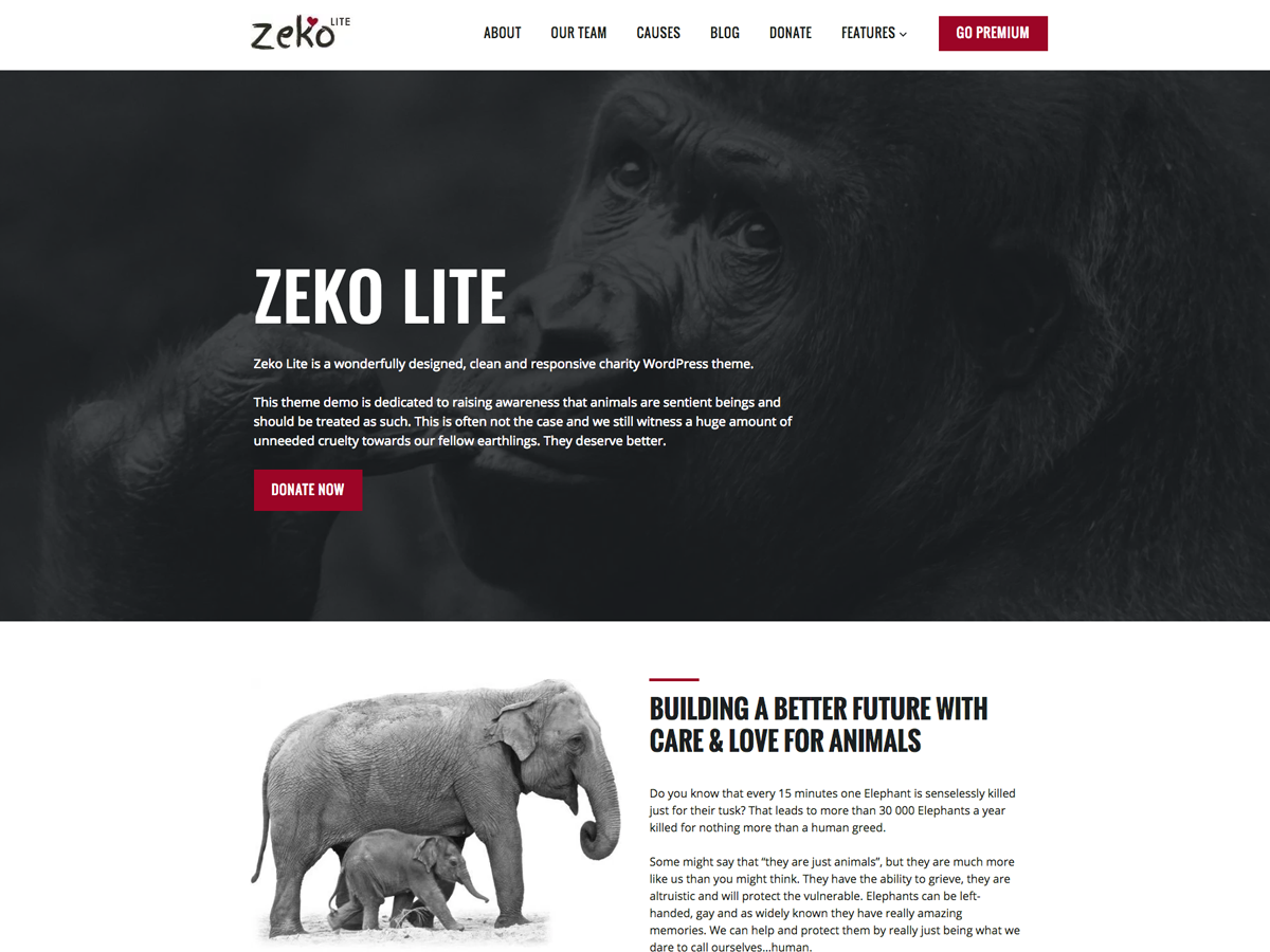 Zeko lite Wordpress Theme